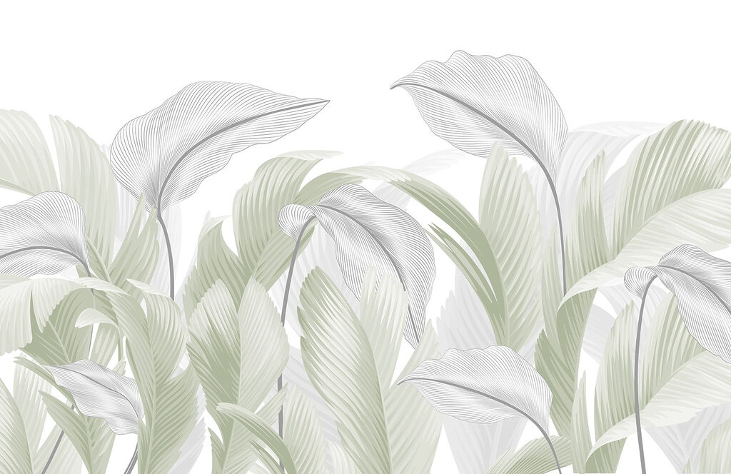 Elegante groene bladeren op een witte achtergrond Elegante groene bladeren op een witte achtergrond