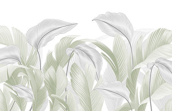 Elegante groene bladeren op een witte achtergrond Elegante groene bladeren op een witte achtergrond