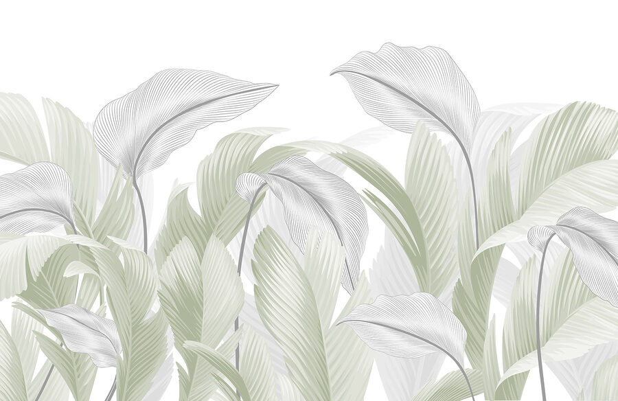 Elegante groene bladeren op een witte achtergrond Elegante groene bladeren op een witte achtergrond