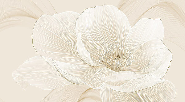 Delicate lijnen definiëren bloemenpracht Delicate lijnen definiëren bloemenpracht