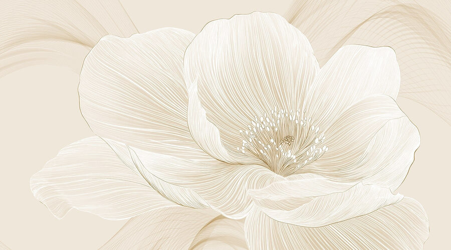 Delicate lijnen definiëren bloemenpracht