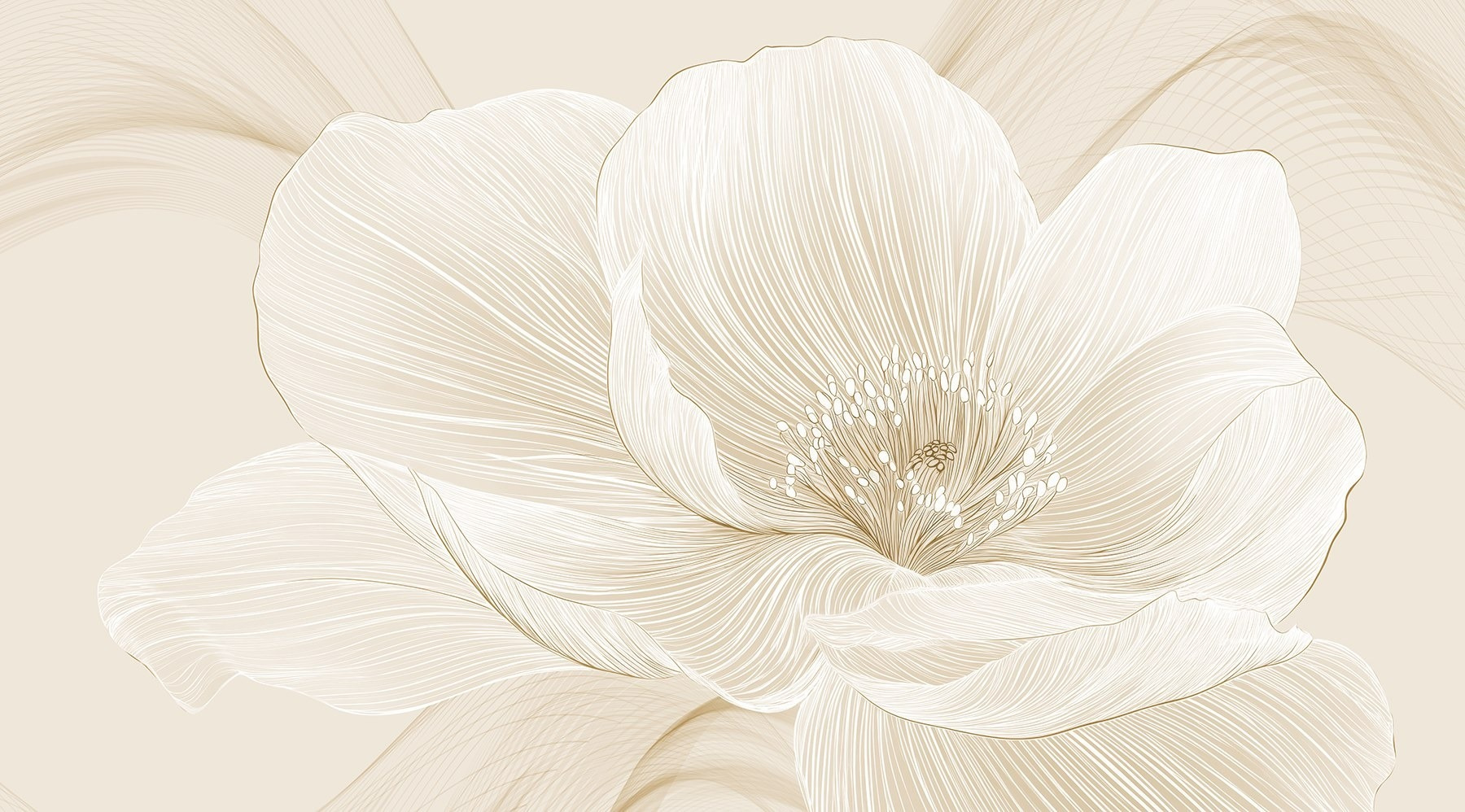 Delicate lines defining floral beauty