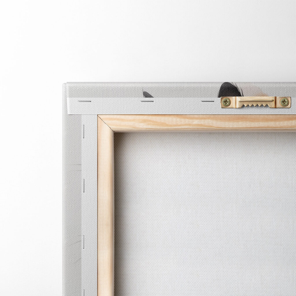 Cat with a white and black face