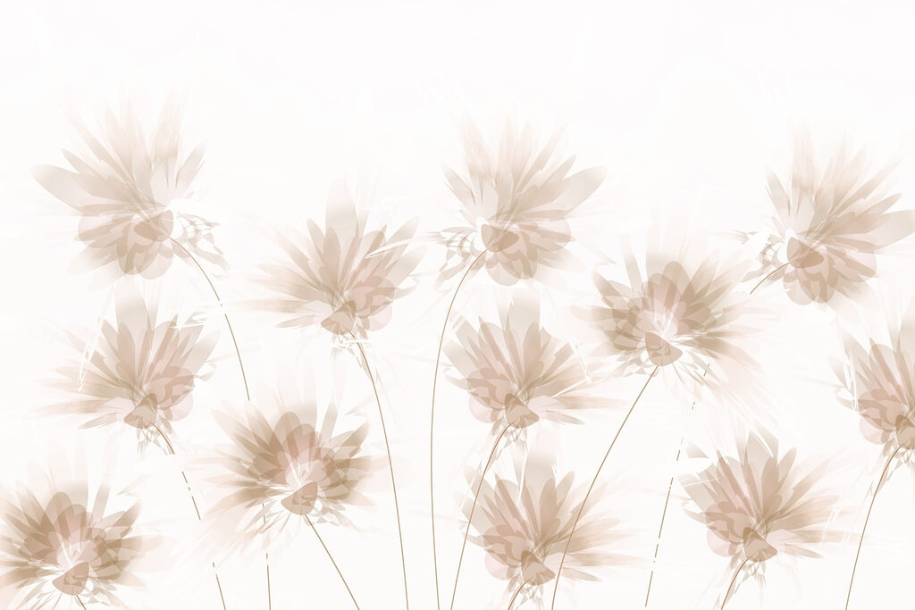 Groep bloemen op witte achtergrond Groep bloemen op witte achtergrond