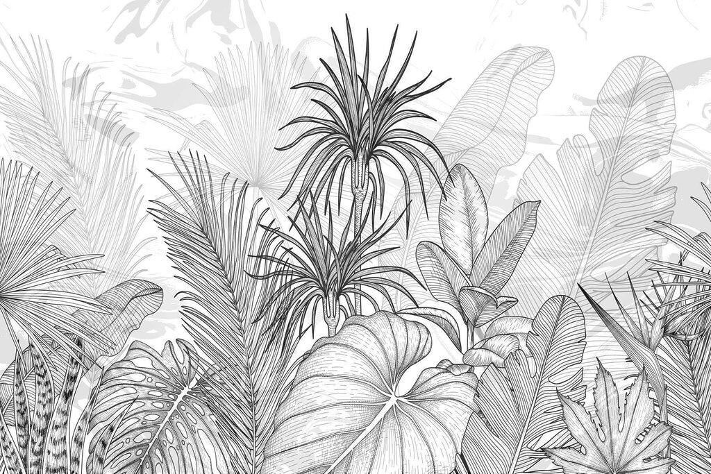 Zwart-wit tekening van planten Zwart-wit tekening van planten