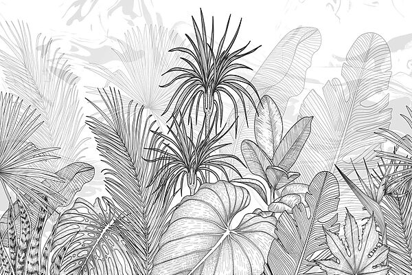 Zwart-wit tekening van planten Zwart-wit tekening van planten