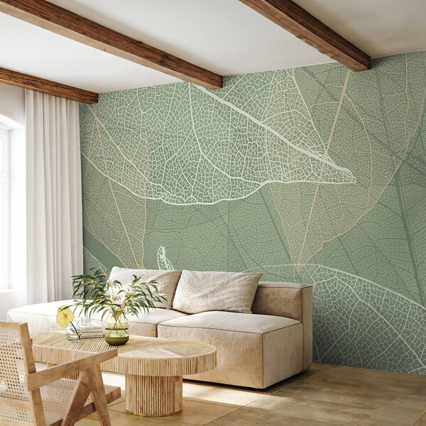 Delicate patronen van het ontwerp van de natuur’s Delicate patronen van het ontwerp van de natuur’s