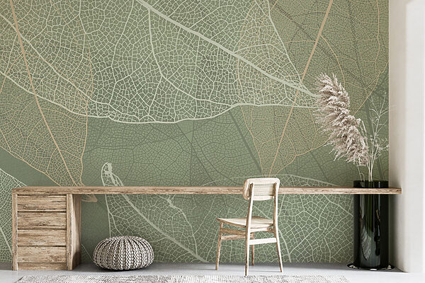 Delicate patronen van het ontwerp van de natuur’s Delicate patronen van het ontwerp van de natuur’s