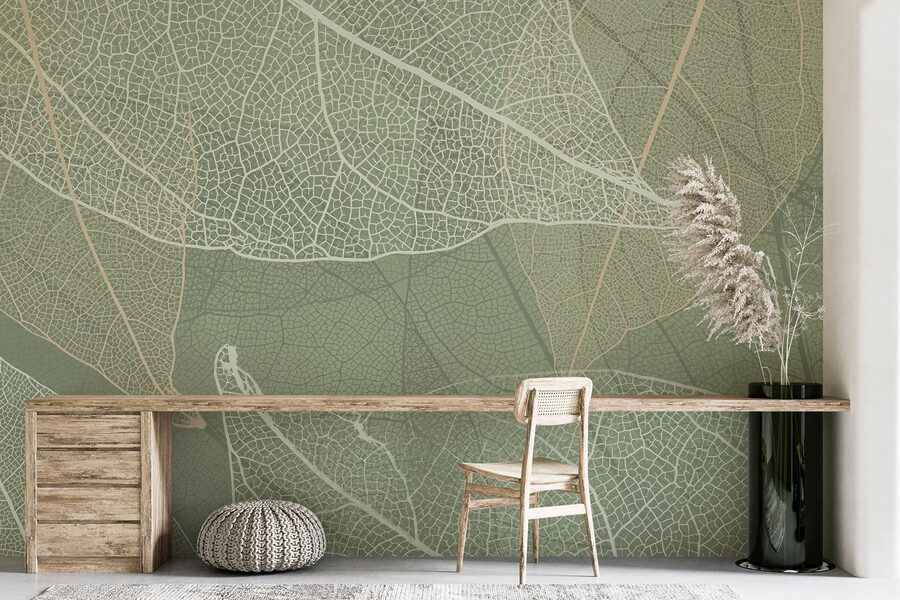 Delicate patronen van het ontwerp van de natuur’s Delicate patronen van het ontwerp van de natuur’s