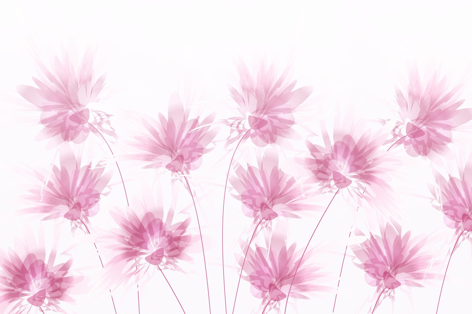 Groep roze bloemen w02561p - Groep roze bloemen