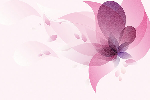 Roze en paarse bloem Roze en paarse bloem
