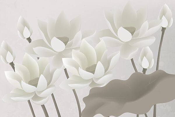 Groep witte bloemen Groep witte bloemen