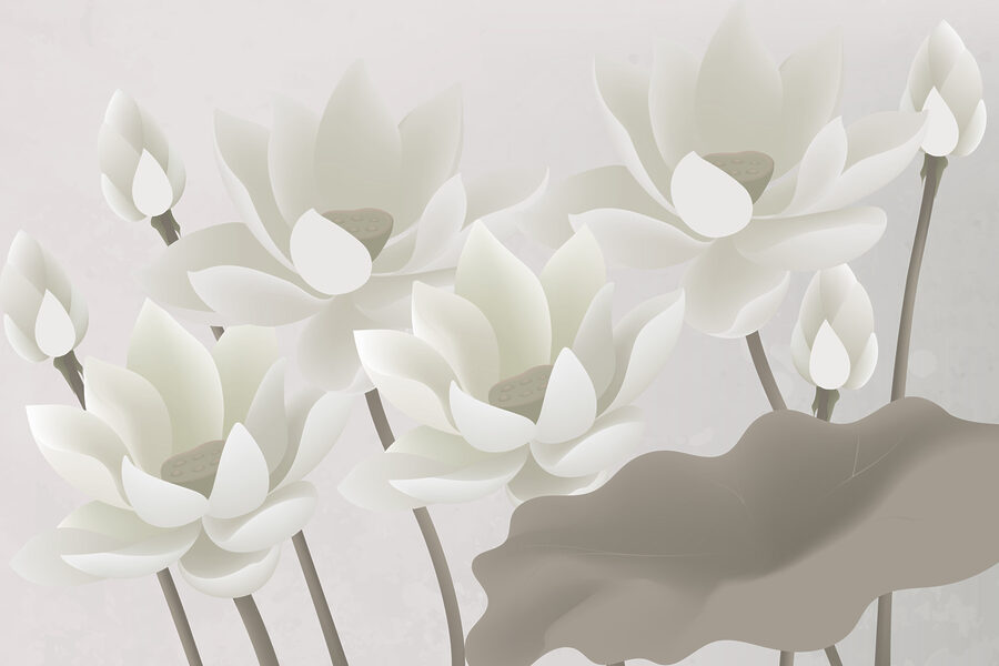 Groep witte bloemen Groep witte bloemen