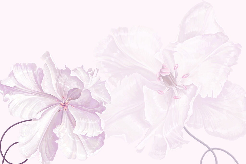Delicate bloesems in zachte tinten. Delicate bloesems in zachte tinten.