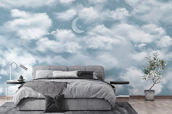 Moon in the sky