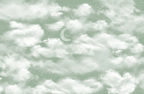 Moon in the sky