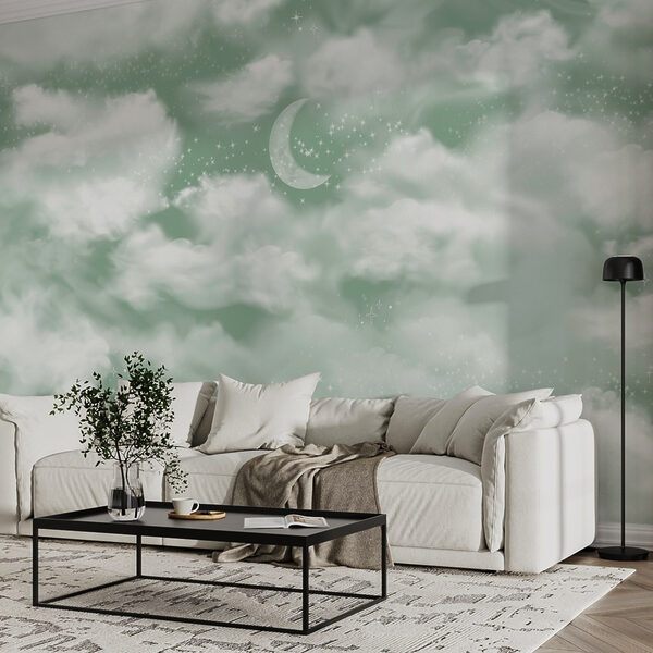 Moon in the sky