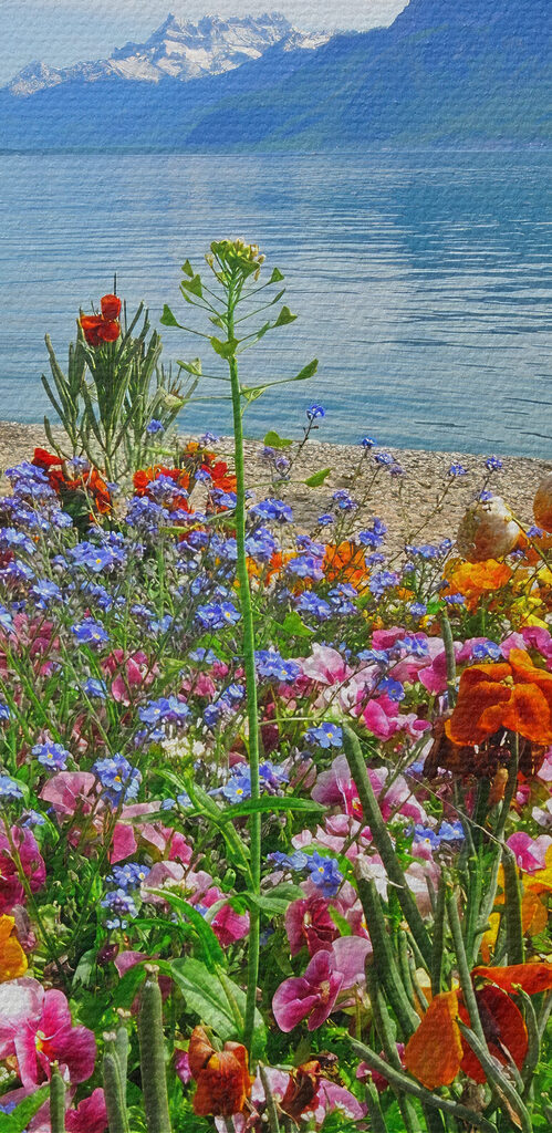 Flower bed with flowers and a lake in the background Flower bed with flowers and a lake in the background