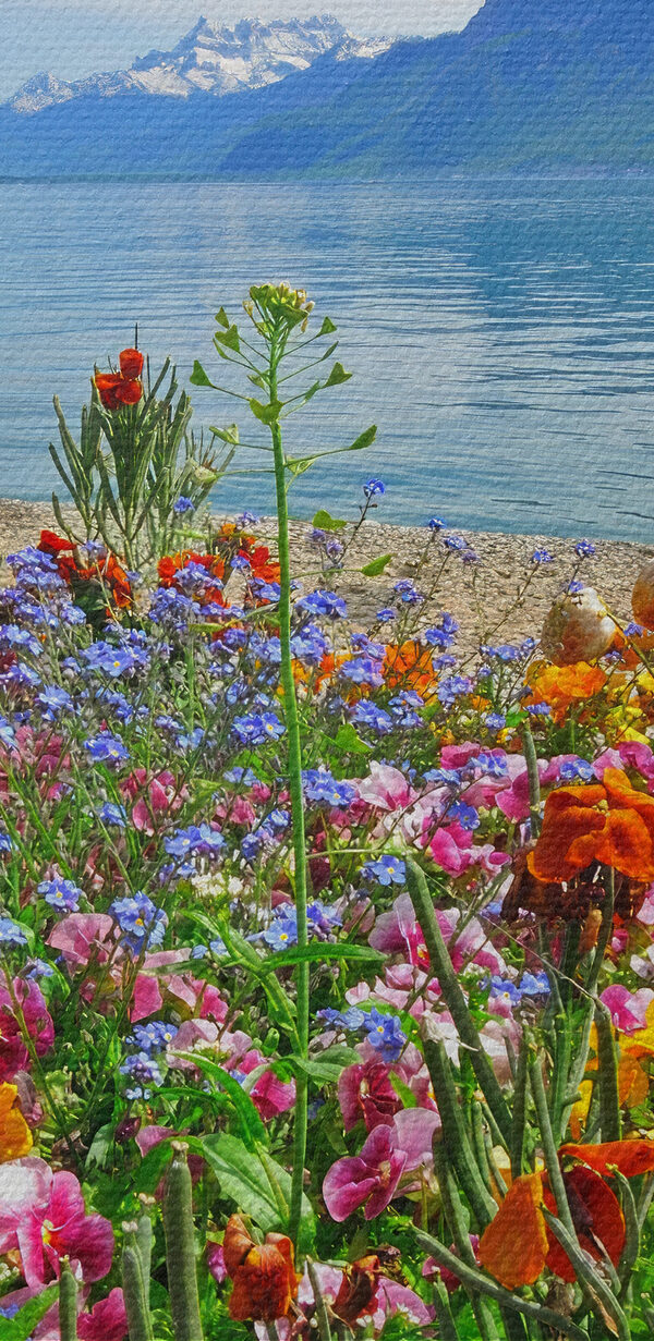 Bloembed met bloemen en een meer op de achtergrond Bloembed met bloemen en een meer op de achtergrond