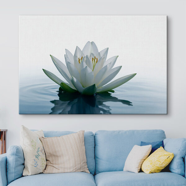 Witte bloem in water Witte bloem in water