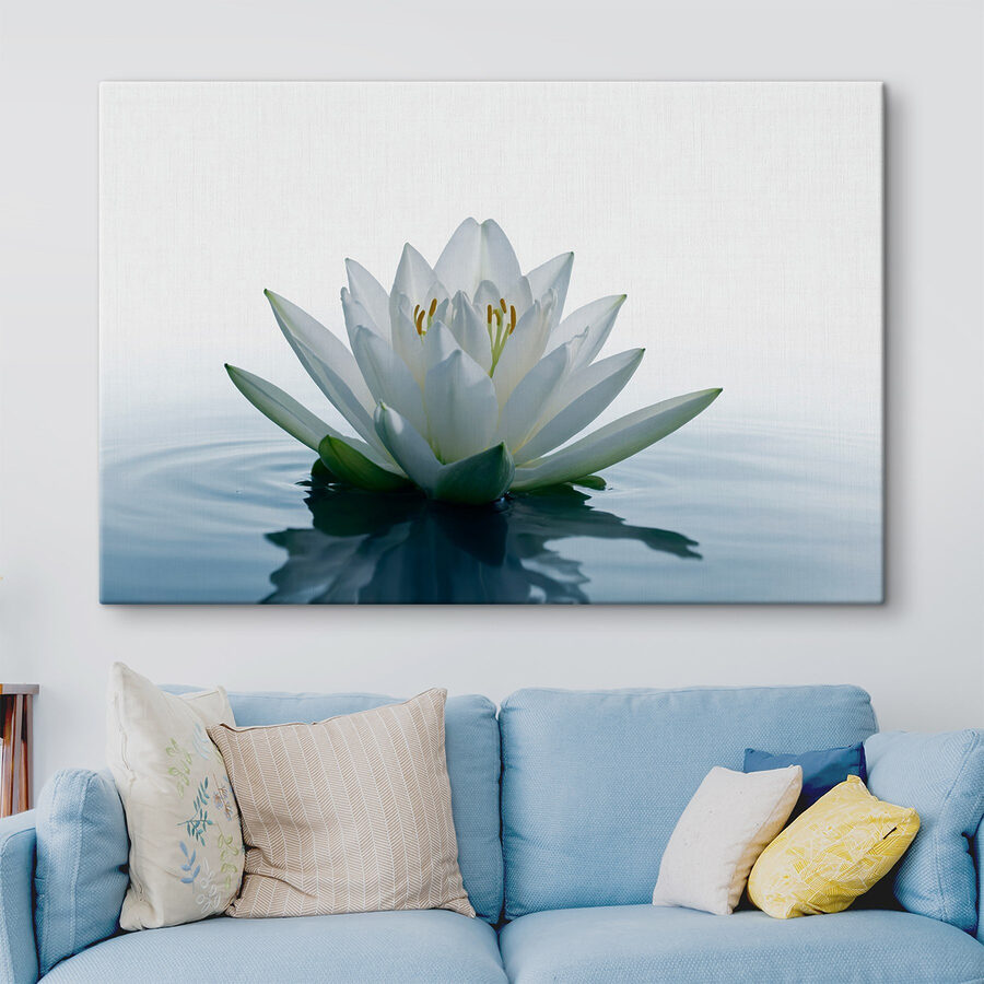 Witte bloem in water