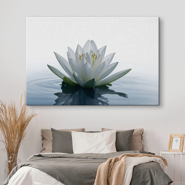 Witte bloem in water Witte bloem in water