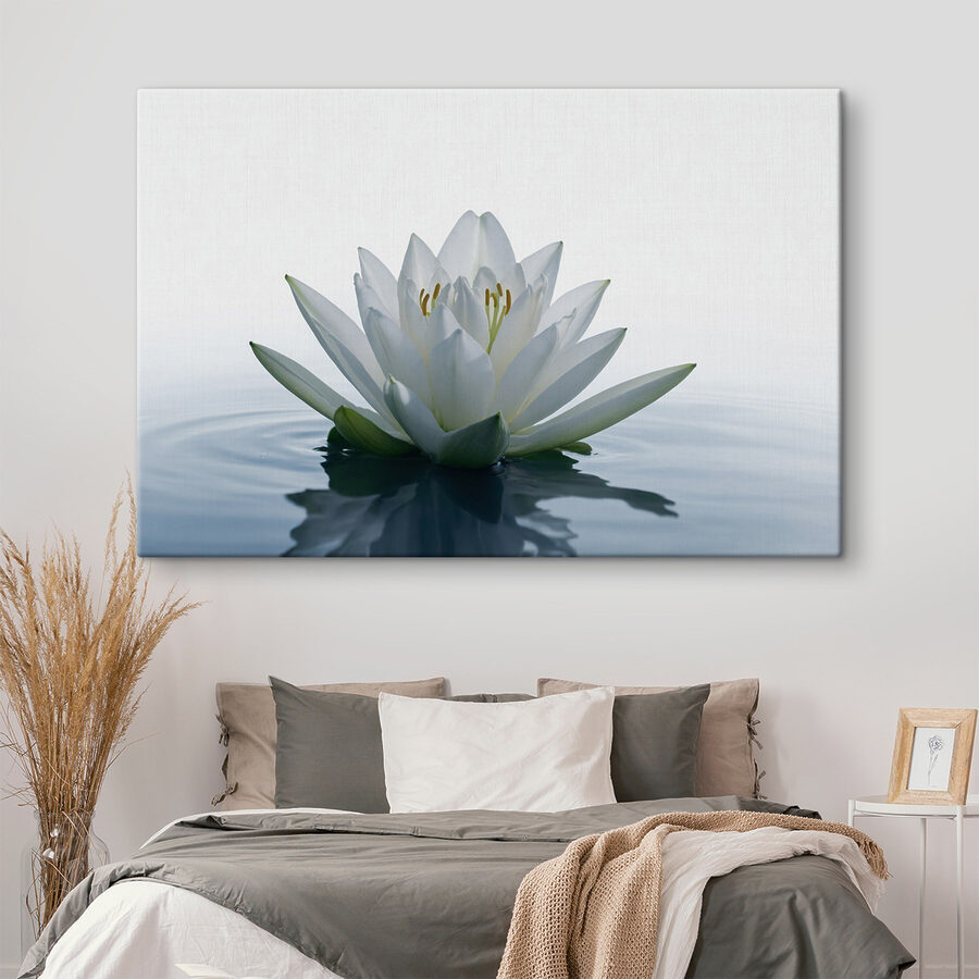 Witte bloem in water