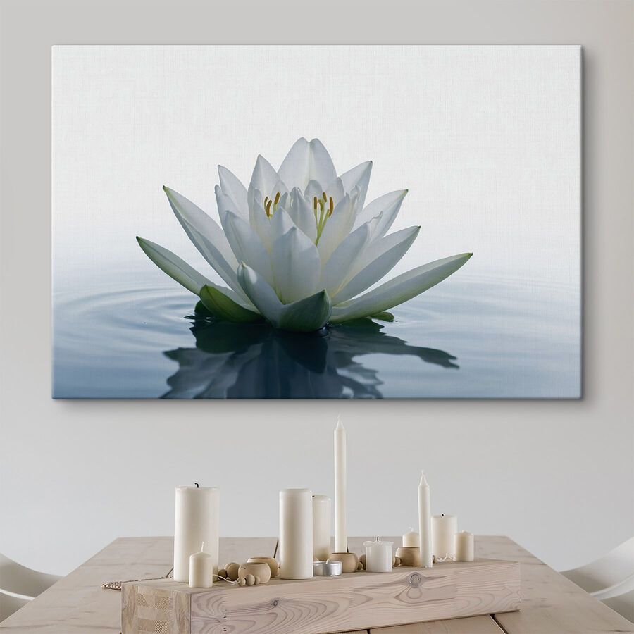 Witte bloem in water