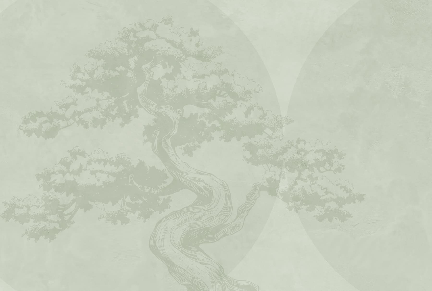 Tree with a curved trunk