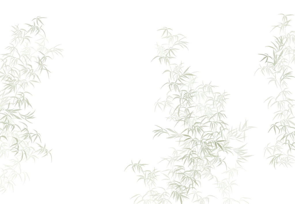 Plant met bladeren Plant met bladeren