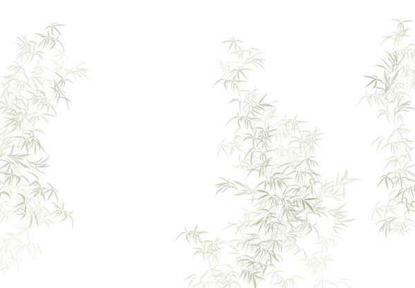 Plant met bladeren Plant met bladeren