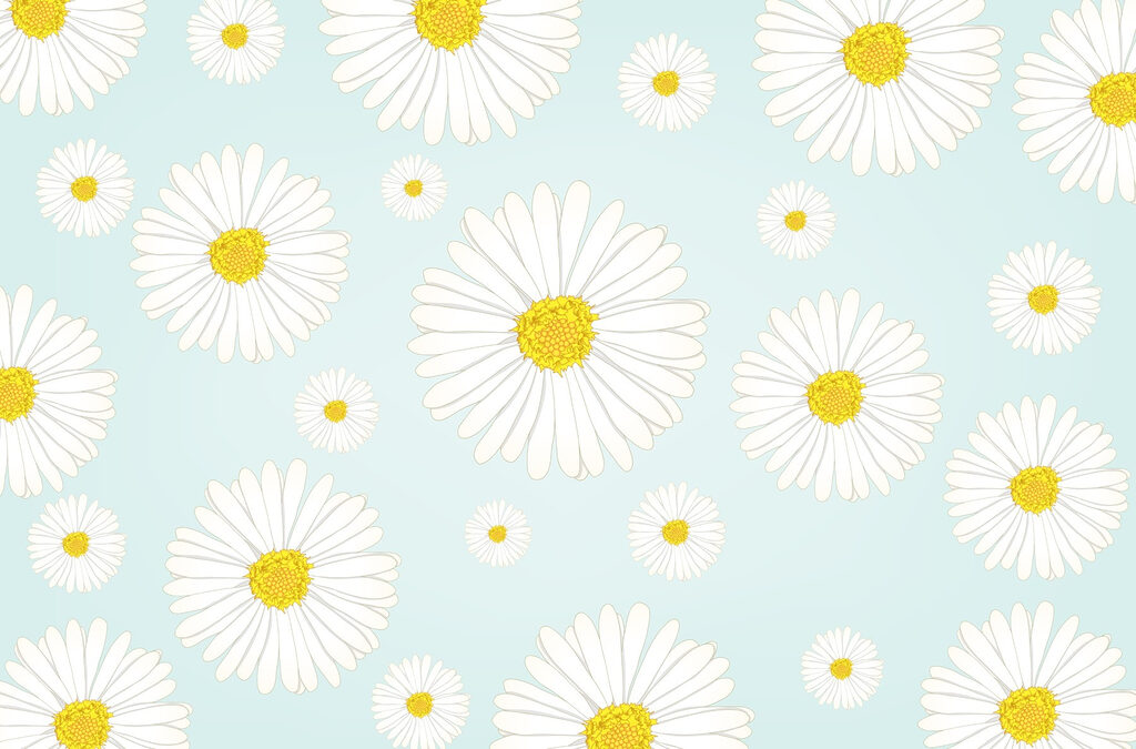 Patroon van witte en gele bloemen Patroon van witte en gele bloemen