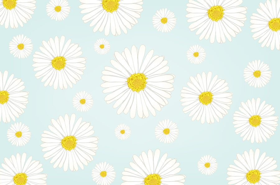 Patroon van witte en gele bloemen Patroon van witte en gele bloemen