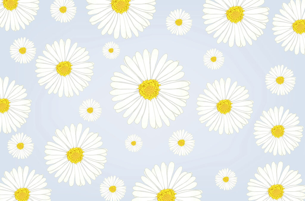 Groep witte en gele bloemen Groep witte en gele bloemen