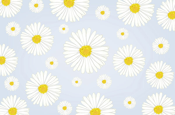 Groep witte en gele bloemen Groep witte en gele bloemen