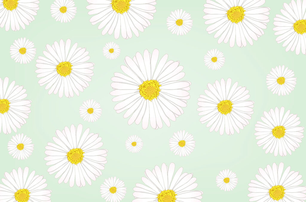 Patroon van witte en gele bloemen Patroon van witte en gele bloemen