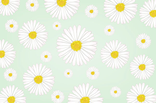 Patroon van witte en gele bloemen Patroon van witte en gele bloemen