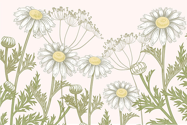 Delicate bloemen in zachte tinten Delicate bloemen in zachte tinten
