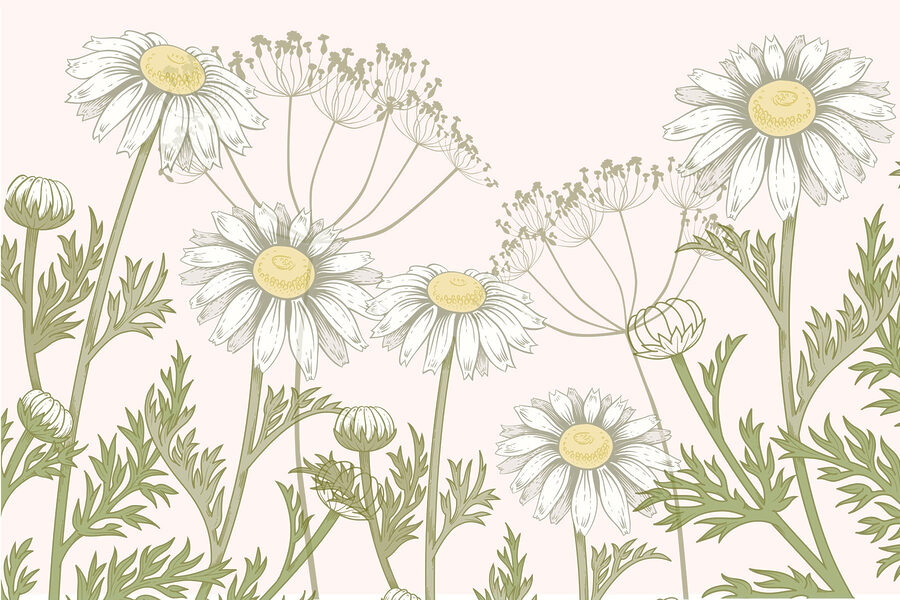 Delicate bloemen in zachte tinten Delicate bloemen in zachte tinten