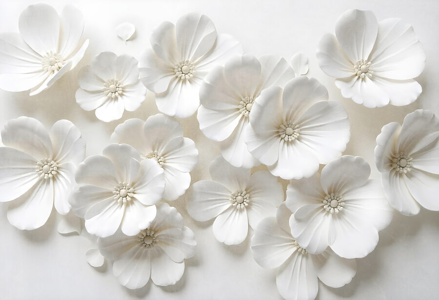 Groep witte bloemen