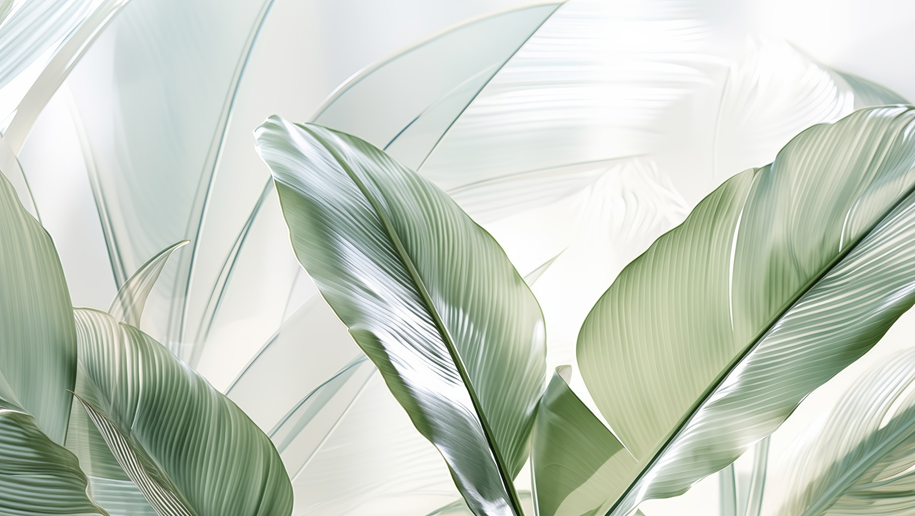 Natural green leaves in soft light Natural green leaves in soft light