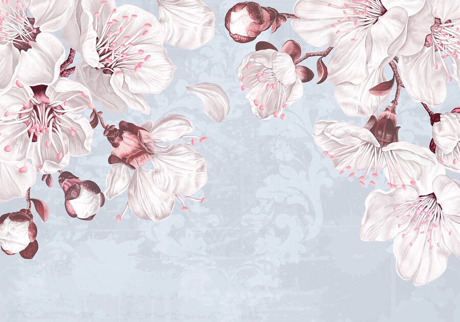 Delicate bloemen op zachte achtergrond