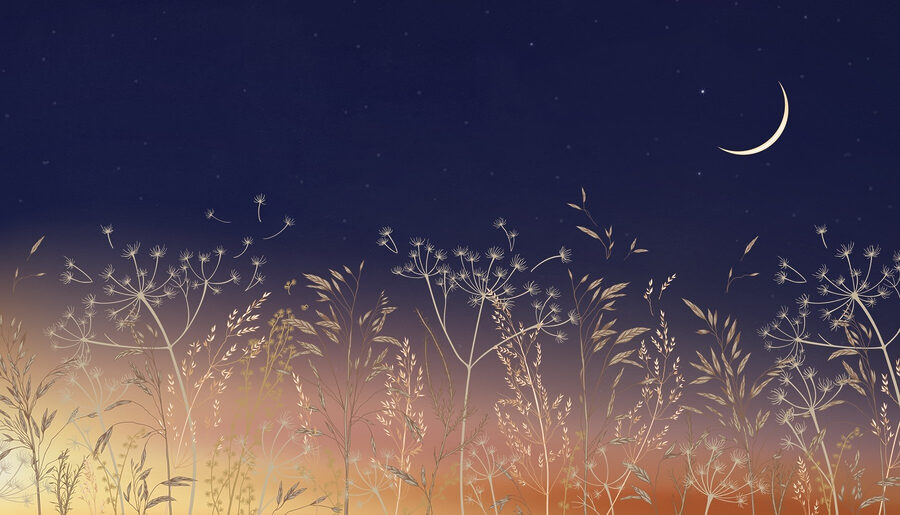 Veld met gras en bloemen