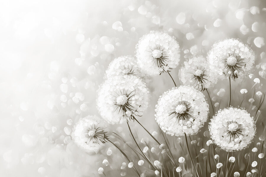Groep paardenbloemen met witte bloemen