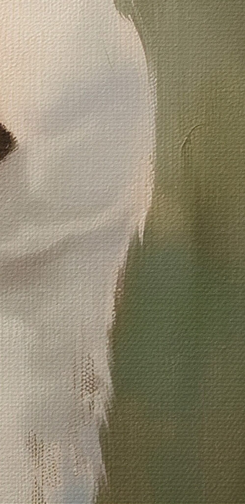 Painting of two white ducks