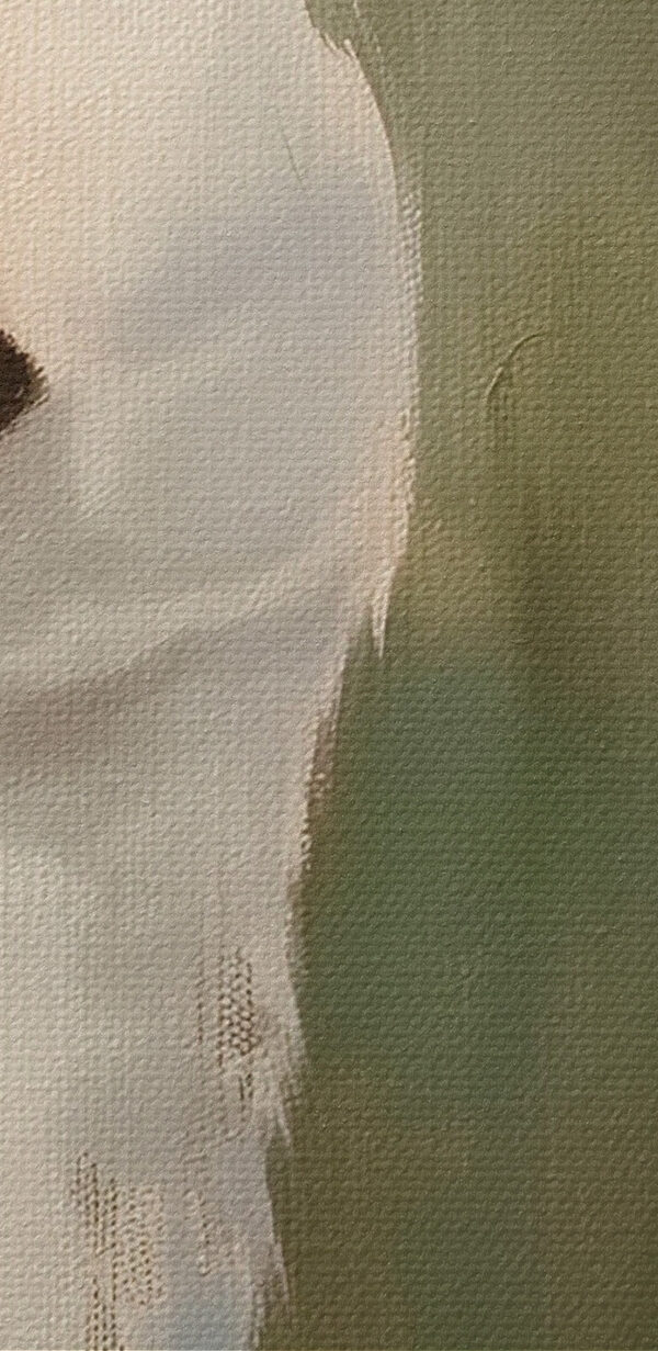 Schilderij van twee witte eenden Schilderij van twee witte eenden