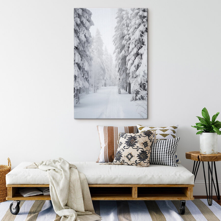Besneeuwd pad met bomen