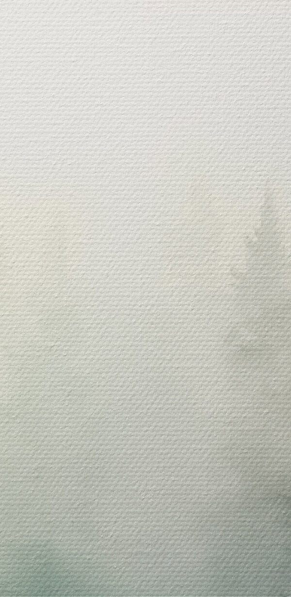 Aquarel van bomen in een bos Aquarel van bomen in een bos