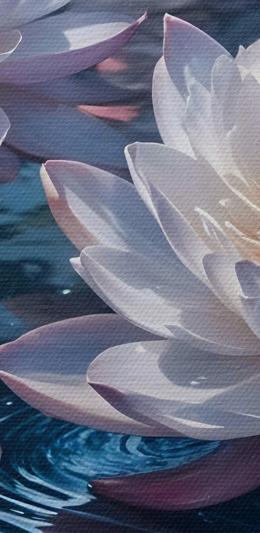 Groep witte bloemen in een vijver