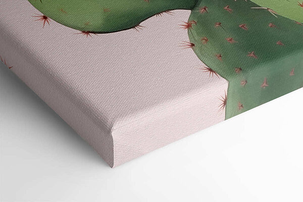 Cactus met roze bloemen Cactus met roze bloemen